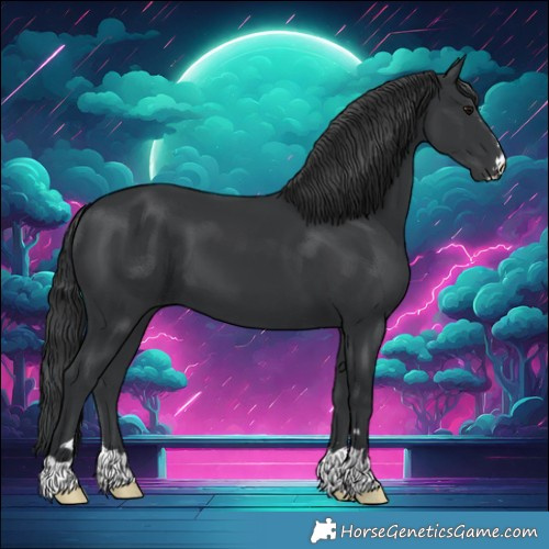 Horse Color:Black 