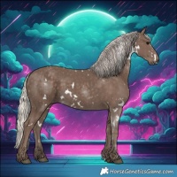 Horse Color:White Spotted Silver Black 