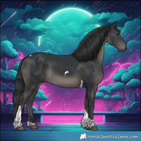Horse Color:Black Tobiano 