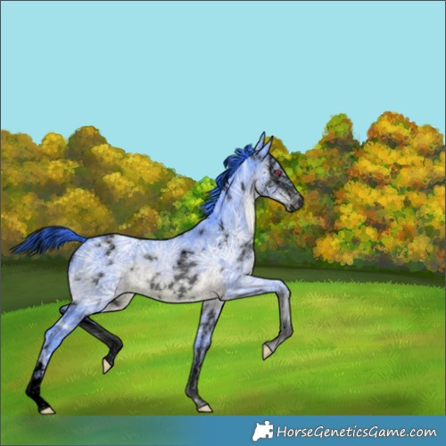 Horse Color:Void Watercolor White Spotted Brown Chinchilla Ice Splash Rabicano 