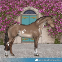 Horse Color:White Spotted Liver Red Dun Tobiano Rabicano