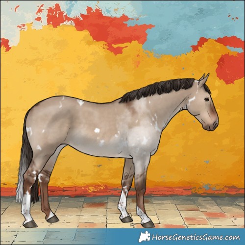 Horse Color:White Spotted Liver Red Dun Tobiano