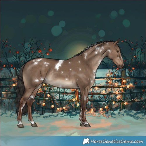Horse Color:White Spotted Liver Red Dun Rabicano 