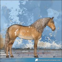 Horse Color:White Spotted Chocolate Palomino Dun 