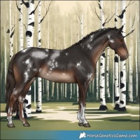 Horse Color:White Spotted Liver Chestnut Tobiano 