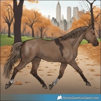Horse Color:Liver Red Dun Tobiano Rabicano 