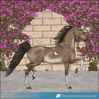 Horse Color:White Spotted Liver Red Dun Tobiano Rabicano