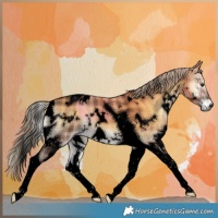Horse Color:Void Plaid  White Spotted Chocolate Palomino Onyx Tobiano 