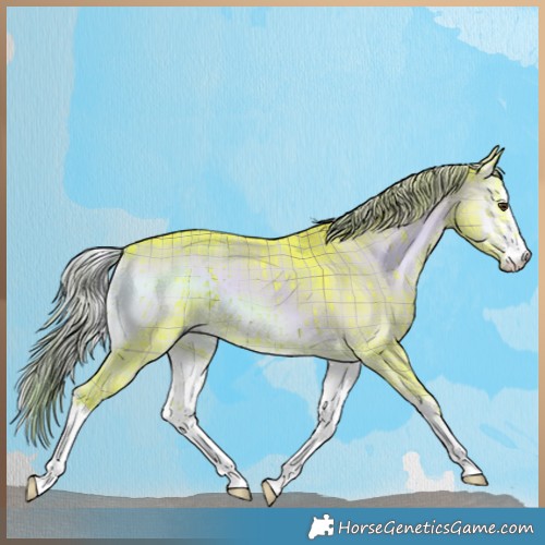 Horse Color:Watercolor Plaid White Spotted Liver Red Dun Onyx Brindle