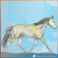 Horse Color:Watercolor Plaid  White Spotted Liver Red Dun Onyx Brindle 