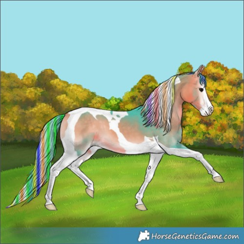 Horse Color:Painted Watercolor Buckskin Onyx Splash Tobiano 