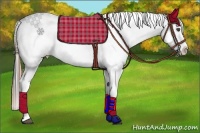Horse Color:Black Appaloosa Rabicano