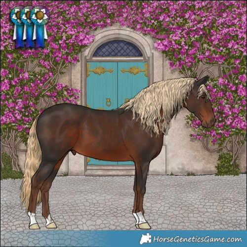 Horse Color:Liver Chestnut