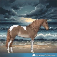 Horse Color:Liver Red Dun Tobiano 