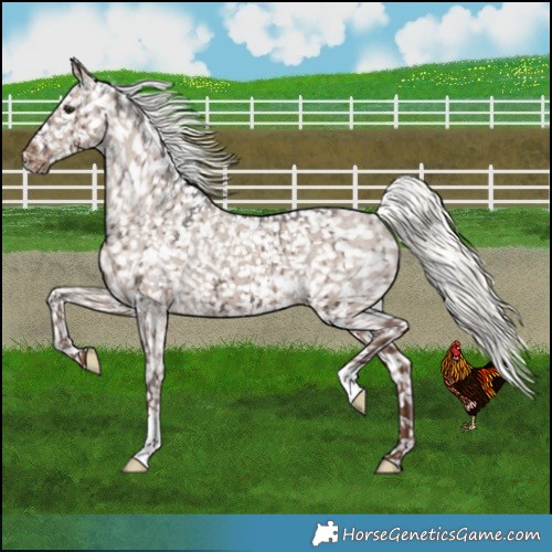 Horse Color:Liver Red Dun Mushroom Snowflake VarnishBrindle 