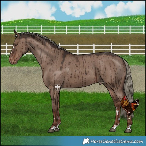 Horse Color:Liver Red Dun Mushroom Varnish Brindle 