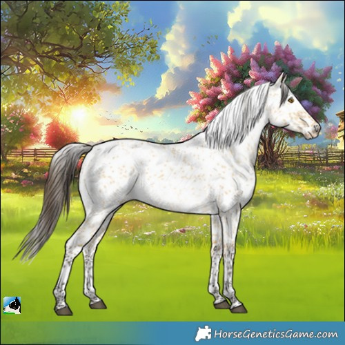 Horse Color:Buckskin Dun Mushroom Sabino 