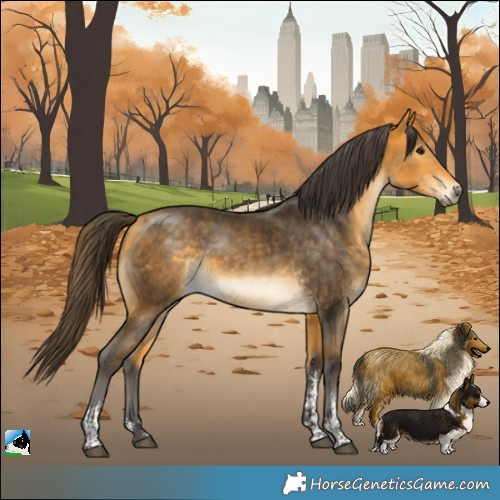 Horse Color:Buckskin Sabino 