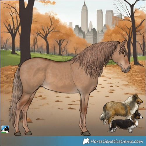 Horse Color:White Spotted Red Dun