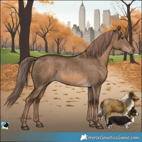Horse Color:White Spotted Red Dun