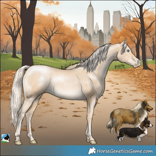 Horse Color:Palomino Pearl 