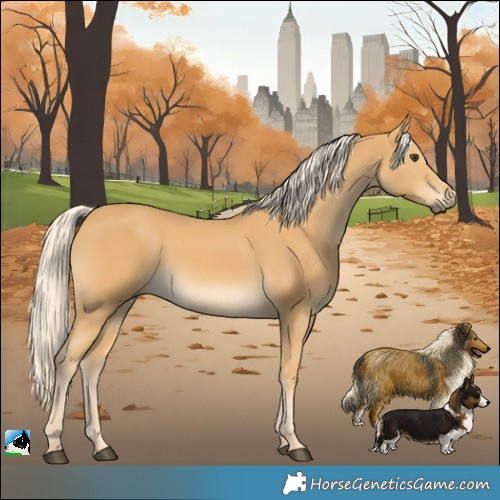 Horse Color:Palomino