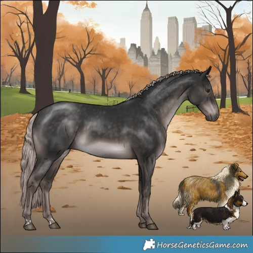 Horse Color:Platinum Liver Chestnut