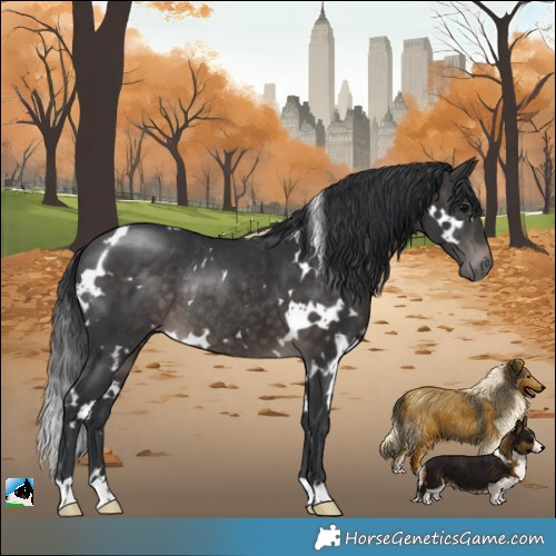 Horse Color:Platinum White Spotted Brown Rabicano 