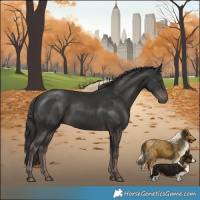 Horse Color:Platinum Liver Chestnut Rabicano 