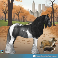 Horse Color:Gray Platinum Brown Tobiano Rabicano