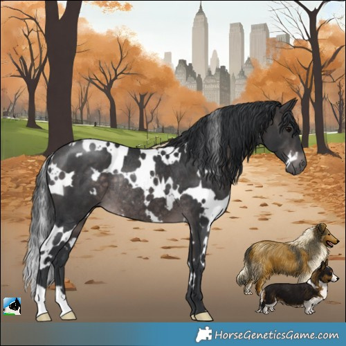 Horse Color:Platinum White Spotted Brown Rabicano