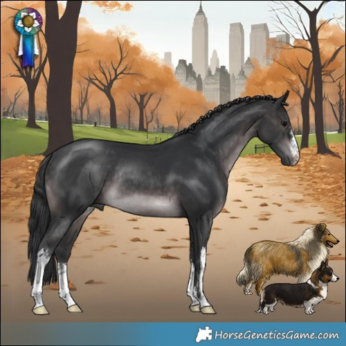 Horse Color:Platinum White Spotted Brown Rabicano 