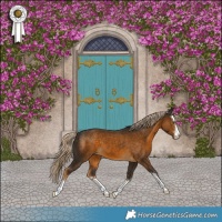 Horse Color:Chocolate Palomino 