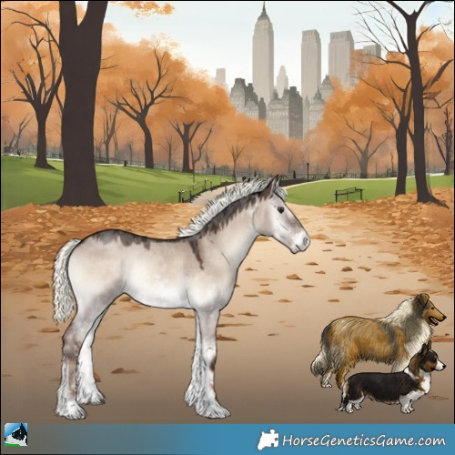 Horse Color:Liver Red Dun Onyx Mushroom Sabino Rabicano 