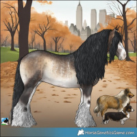 Horse Color:Brown Onyx Rabicano Brindle