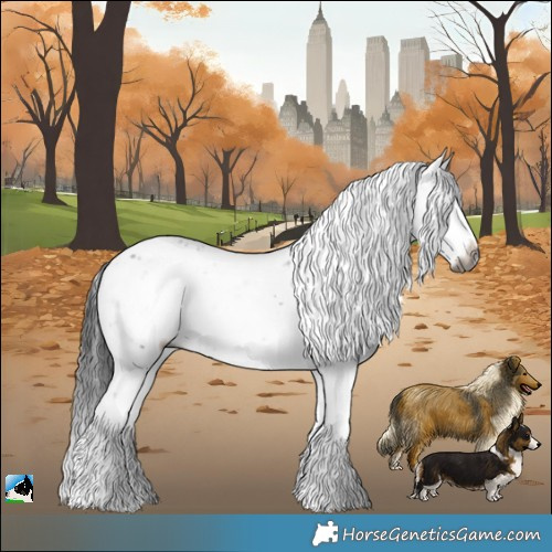 Horse Color:Gray Black Ice Sabino Splash Rabicano 