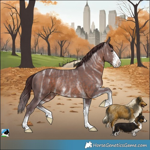 Horse Color:Chocolate Brown Ice Sabino Rabicano 