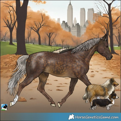 Horse Color:Chocolate Silver Buckskin 