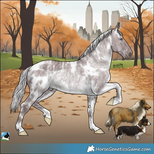 Horse Color:White Spotted Chocolate Silver Black Chinchilla Ice Rabicano 