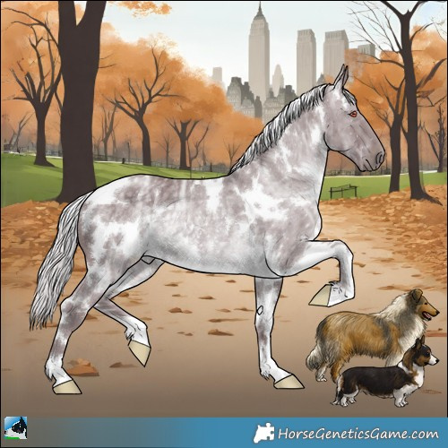 Horse Color:White Spotted Chocolate Silver Black Chinchilla Ice Rabicano 