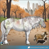 Horse Color:White Spotted Chocolate Silver Black Chinchilla Ice Rabicano 