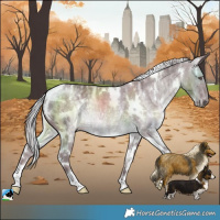 Horse Color:White Spotted Chocolate Silver Black Chinchilla Ice Rabicano 