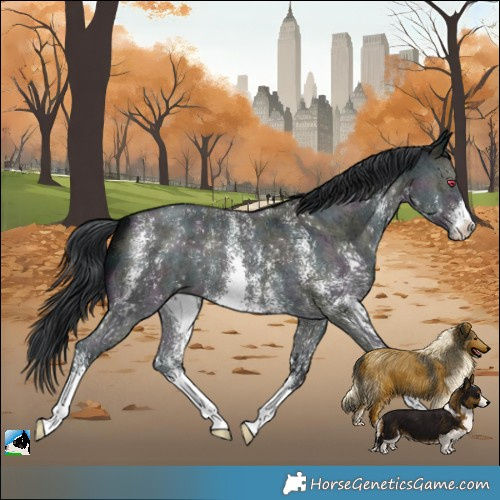 Horse Color:Midnight Brown Chinchilla Sabino 