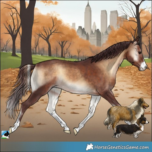 Horse Color:Chocolate Brown Onyx 
