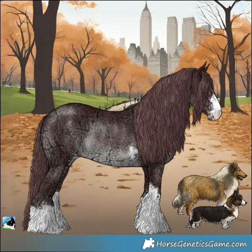 Horse Color:Chocolate Black Chinchilla Ice Sabino Rabicano