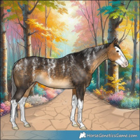 Horse Color:Powder White Buckskin Splash 