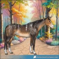 Horse Color:Powder White Buckskin