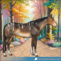 Horse Color:Powder White Buckskin 