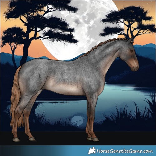 Horse Color:White Spotted Liver Red Roan