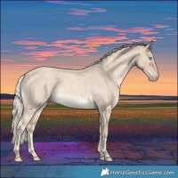 Horse Color:White Spotted Cremello Roan 